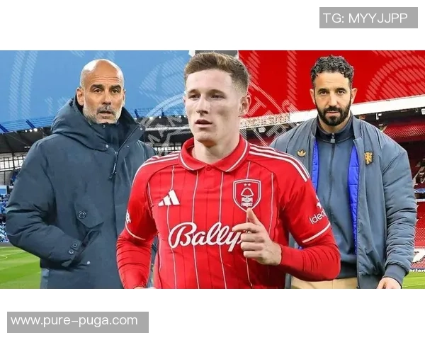 曼联倾情一亿镑!安德森,红魔新王者的诞生? 曼联倾情一亿镑!安德森,红魔新王者的诞生?